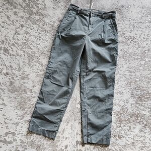 Everlane The Pleated Chino Pant Olive Green Sz2